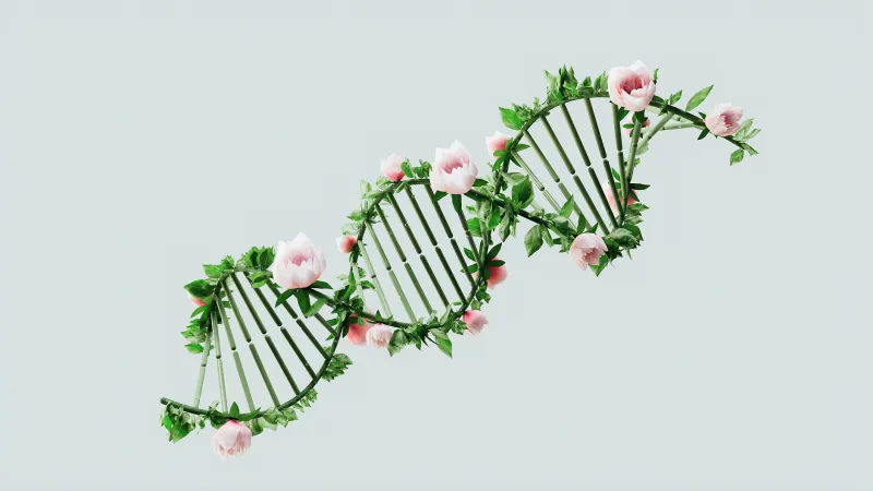 The Hidden Switches in Your DNA: How Non-Coding Sequences Orchestrate the Symphony of Gene Expression