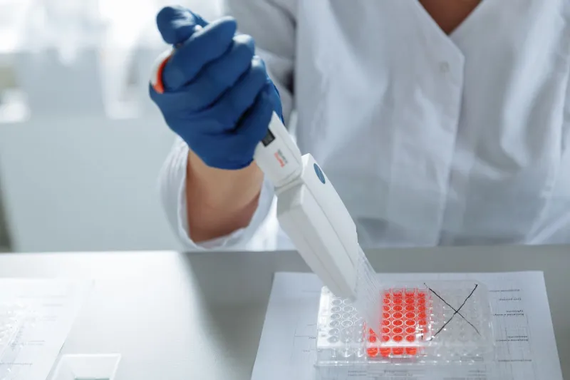 Methylation, Mortality, and Molecular Clocks: What Your DNA's Chemical Tags Reveal About How Fast You're Aging