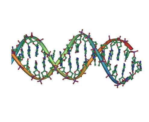 The Restless Genome: How Mobile DNA Elements Are Linked to Cancer, Brain Disease, and Aging